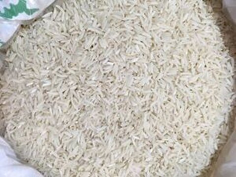 سیاست‌های نادرست وزارت جهاد/ عامل اصلی کمبود برنج در بازار