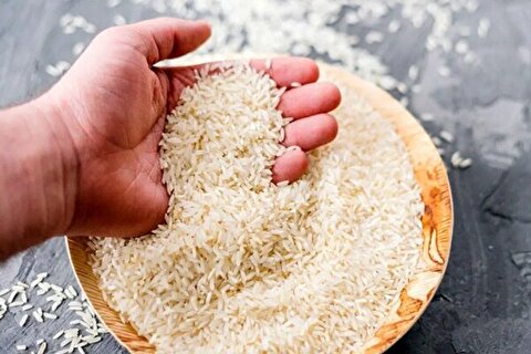 قیمت انواع برنج در میادین و بازار‌های میوه و تره بار اعلام شد