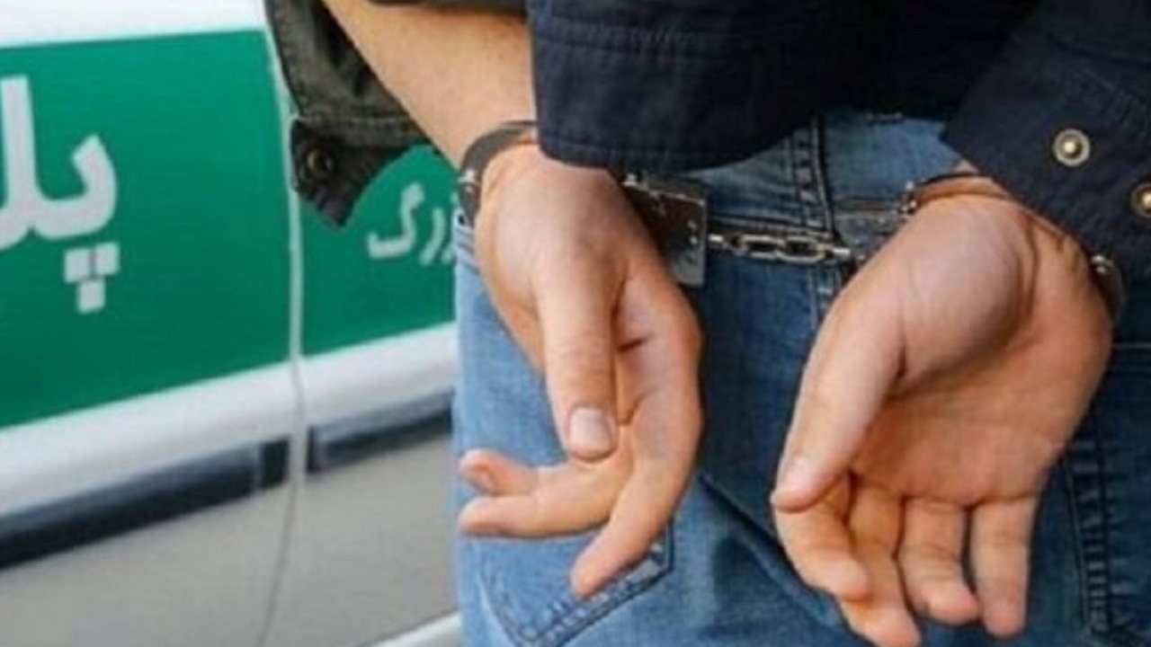 دستگیری زوج سارقان موبایل‌فروش‌ها در باغ فیض