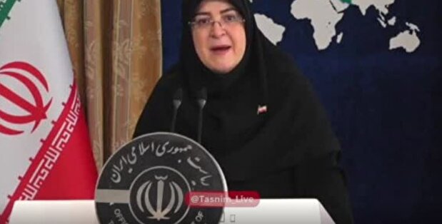 سخنگوی دولت : بسته حمایت از خبرنگاران در راه است