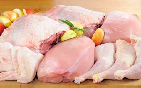 افزایش چشمگیر قیمت مرغ/ هر کیلو ۱۲۰ هزار تومان!