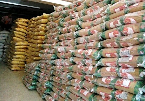 ادعای جنجالی گم‌شدن یک میلیون تن برنج وارداتی/ آیا واقعیت دارد؟