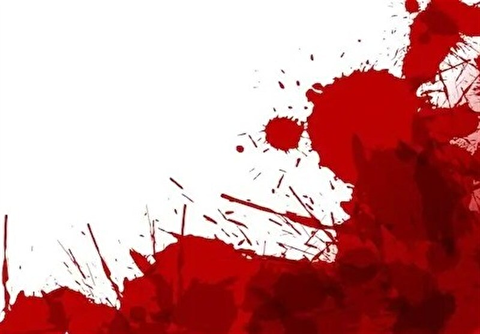 سرقت مرگبار لندکروز از شاگرد نمایشگاهی/ قاتل مسلح به دام پلیس افتاد