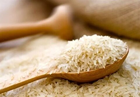 توزیع ۱۵۰ هزار تن برنج هندی و پاکستانی جهت تنظیم بازار