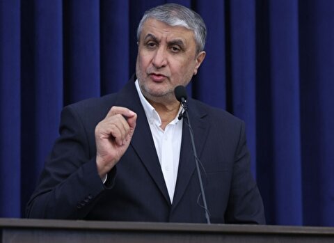 رئیس سازمان انرژی اتمی: سفر به وین با دستاورد‌های مهم به پایان رسید