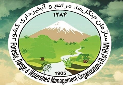 نامه اعتراض‌آمیز مدیرکل منابع طبیعی به رئیس جمهور/ انحلال سازمان منابع طبیعی، تهدیدی برای محیط زیست کشور