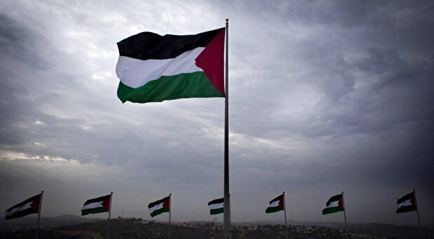 فیلم / برافراشته‌شدن پرچم فلسطین در پارلمان اسپانیا توسط نماینده زن