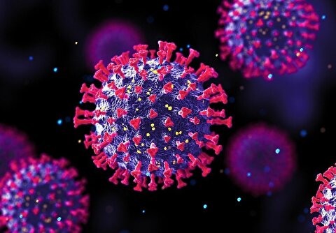 درمان قطعی HPV وجود ندارد/ حذف ضایعه‌ها برای کاهش بار ویروسی ضروری است
