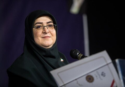 مهاجرانی: دولت به دنبال اذیت کردن بخش خصوصی نیست