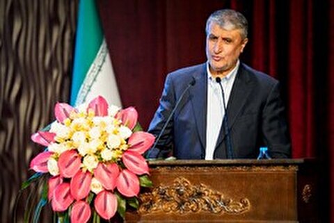 اسلامی: نظارت بازرسان آژانس بر فرآیند تعویض سوخت نیروگاه بوشهر انجام شد