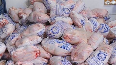 آغاز توزیع مرغ منجمد با قیمت ۸۶ هزار تومان