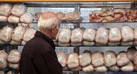 قیمت مرغ امروز شنبه ۱۹ مهرماه ۱۴۰۴