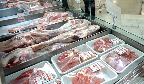 توزیع گوشت وارداتی با قیمت زیر ۷۰۰ هزار تومان از هفته آینده