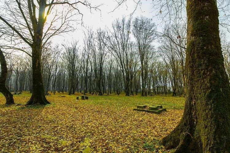 زیباترین پارک‌های ماسال برای یک روز آرام در دل طبیعت