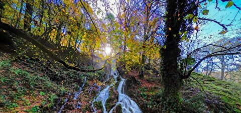 افزایش نسبی دما در مازندران/ بارش و وزش باد یکشنبه