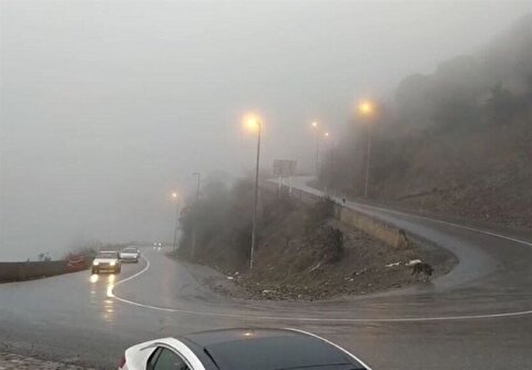 محدودیت‌های ترافیکی جاده‌های شمالی/ جاده چالوس یکطرفه می‌شود