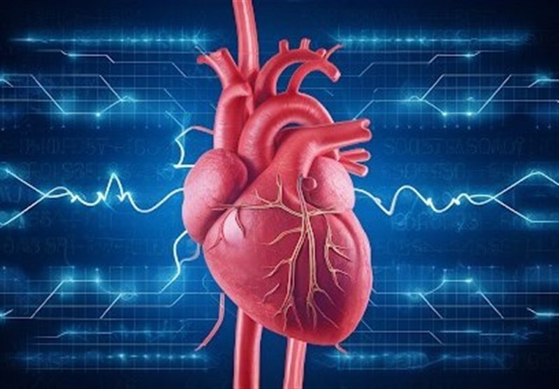 این ورزش‌ها برای بهبود گردش خون معجزه می‌کنند 