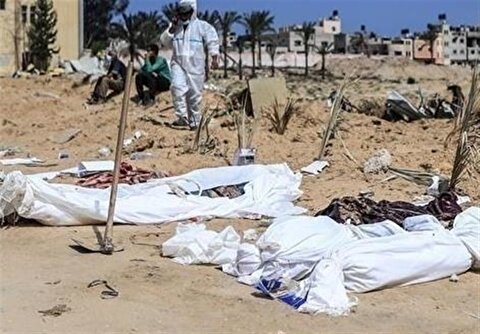 تکهتکه شدن پیکرهای شهدا در خیابانهای غزه/ سگهای ولگرد قربانیان را حملهور شدند