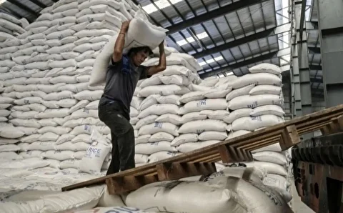 قیمت واقعی برنج ایرانی اعلام شد + نرخ‌ها 