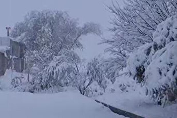 ویدیو| هم اکنون بارش نیمه سنگین برف روستای مائین بلاغ شهرستان تکاب
