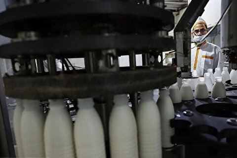 لبنیات ۳۰ درصد گران شد