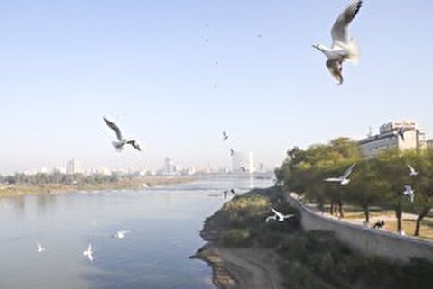 دمای خوزستان کاهش می‌یابد