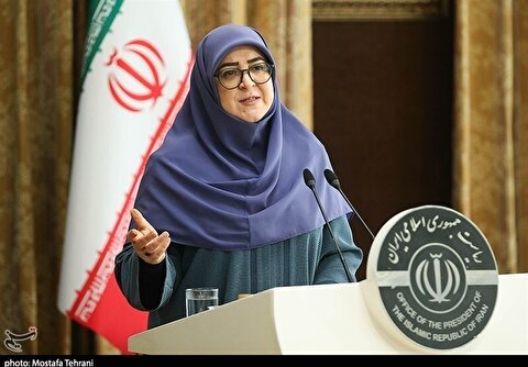 مهاجرانی: دولت پیگیر کنترل تورم و گرانی است