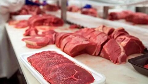 قیمت جدید گوشت قرمز منجمد