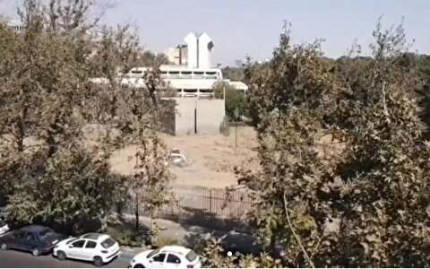 موزه فرش ایران در مسیر احیا/ قطع درختان شایعه‌ای بیش نبود