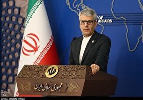 بقائی: مبنای همکاری ما با آژانس قانون مصوب مجلس است