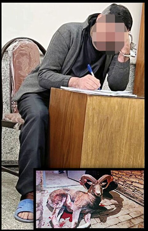 یوتیوبر پر سر و صدا دستگیر شد/ ۳ سال حبس برای شکارچی بلاگر