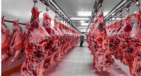 آخرین قیمت گوشت قرمز امروز سه‌شنبه ۱۸ آذر ۱۴۰۴