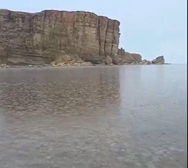 ویدیو| طبیعت به رنگ زندگی برگشت/ دریاچه ارومیه پس از باران‌ها احیا شد