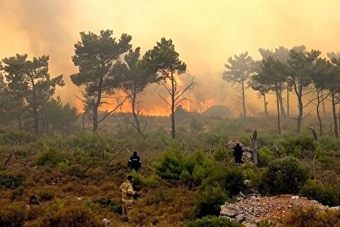 آخرین وضعیت آتش سوزی در جنگل‌های الیت