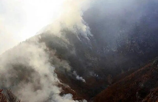 فیلم/ تصاویر هوایی از وسعت آتش‌سوزی در جنگل‌های الیت