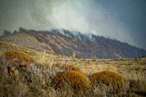 مهار آتش الیت با ۱۱۵ عملیات بالگرد‌ها و ۱۳ پرواز ایلیوشین