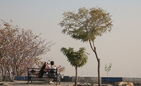 تصمیم‌های دودآلودتر از هوای تهران؛ طرح زوج‌وفرد چگونه یک‌شبه اعلام و لغو شد؟