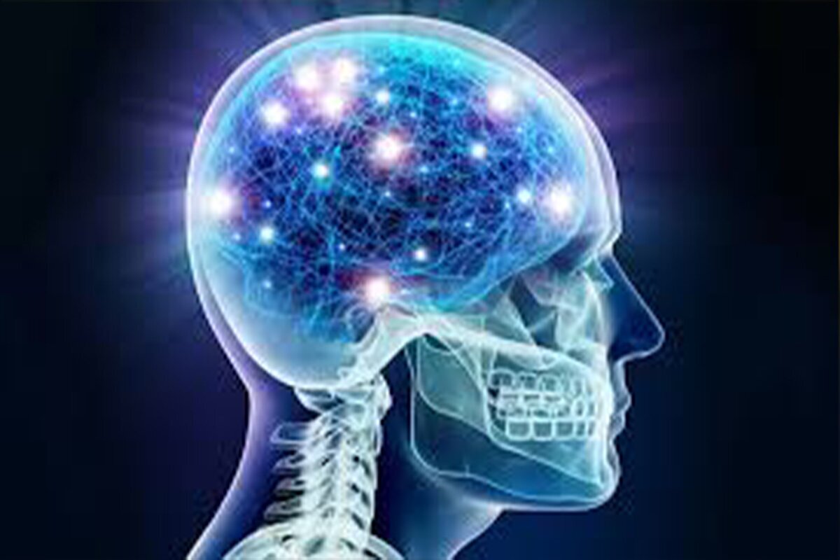 مصرف این غذا‌ها باعث آسیب مغز می‌شود