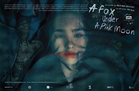 «روباه و ماه صورتی» دومین اکران ویژه فیلم مهرداد اسکویی