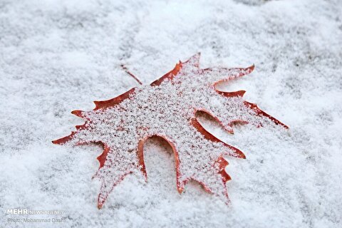 هواشناسی ایران ۱۴۰۴/۹/۲۸؛ تداوم بارش در برخی مناطق/ هشدار یخ‌زدگی در ۱۹ استان