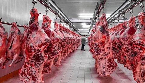 آخرین قیمت گوشت قرمز؛ امروز شنبه ۲۹ آذر ۱۴۰۴