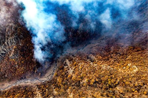 اعزام گسترده نیرو‌های امدادی برای مهار آتش‌سوزی جنگل‌های دیزمار