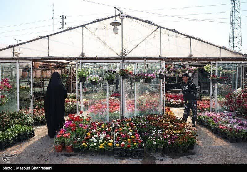 عکس/ جریان زندگی در بازار گل تهران