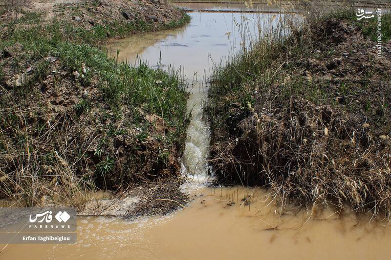 عکس/ رودخانه قزل‌اوزن جان تازه گرفت