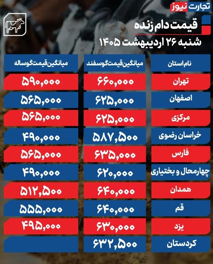 قیمت جدید دام زنده امروز شنبه ۲۶ اردیبهشت ۱۴۰۵ / قیمت گوسفند و گوساله چه تغییری کرد؟ + جدول قیمت جدید دام زنده امروز شنبه ۲۶ اردیبهشت ۱۴۰۵ / قیمت گوسفند و گوساله چه تغییری کرد؟ + جدول