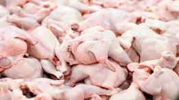 قیمت جدید گوشت مرغ اعلام شد