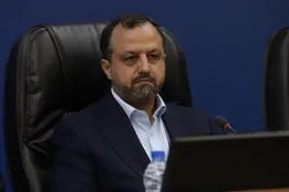 وزیر اقتصاد: کالا‌های اساسی گران نمی‌شود