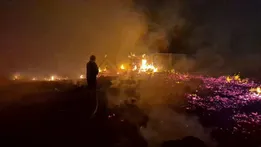 آتش‌سوزی گسترده در اتوبان تهران–ساوه