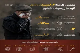 اینفوگرافیک|تحمیل هزینه 8.2 میلیارد دلاری آلودگی هوا به کشور