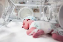 جمعیت ایران در ۲۱۰۰ میلادی به ۳۰ میلیون نفر می‌رسد